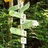 Wandern &raquo; 2022-06-11-Eschachtal