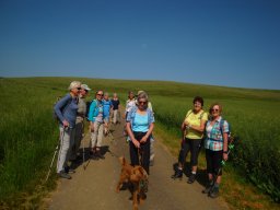 Wandern &raquo; 2023-05-29-Rehletal