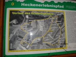 Wandern &raquo; 2024-02-17-Heckenpfad